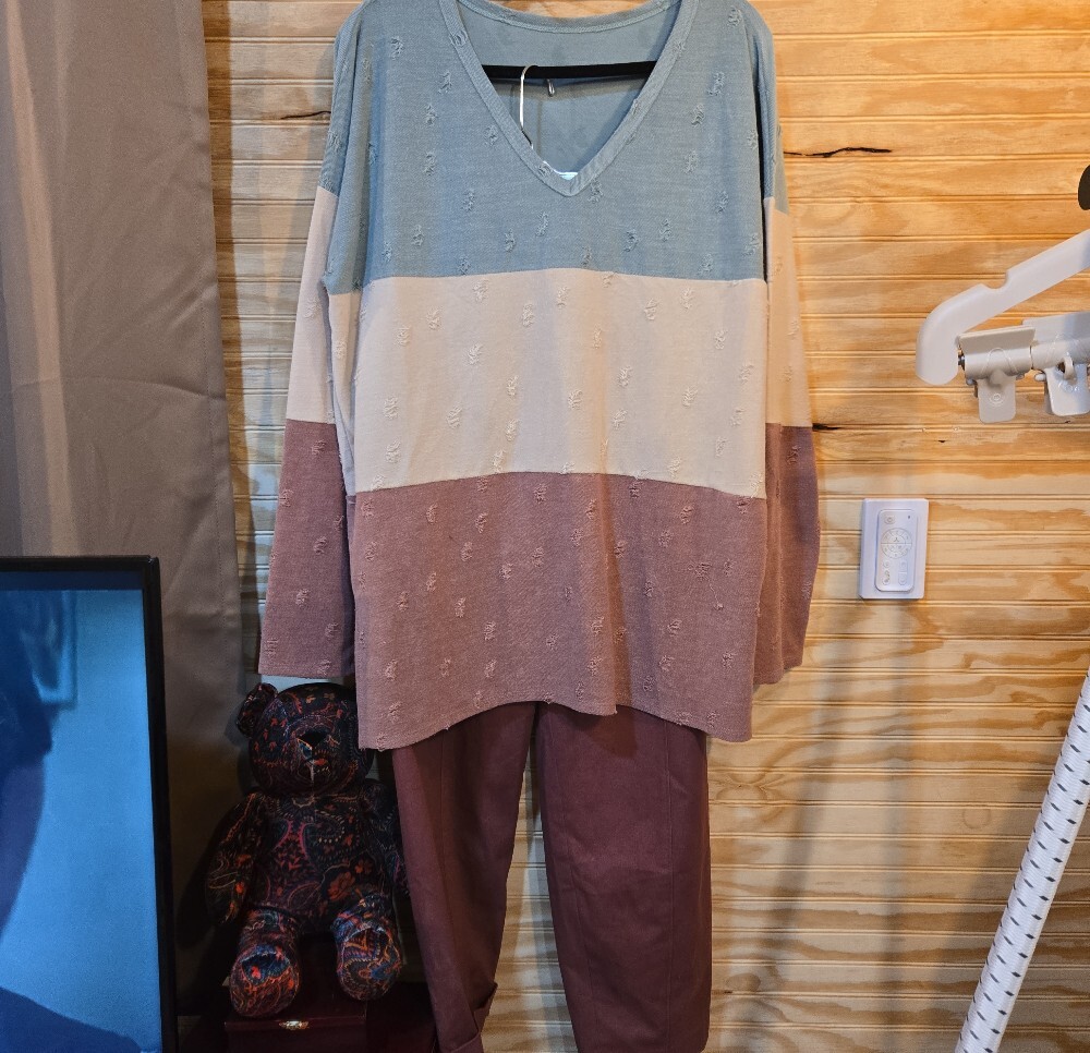ExpressWomen's Mauve Utility Pants - Casual High-Rise Trousers & Top - Picture 3 of 7